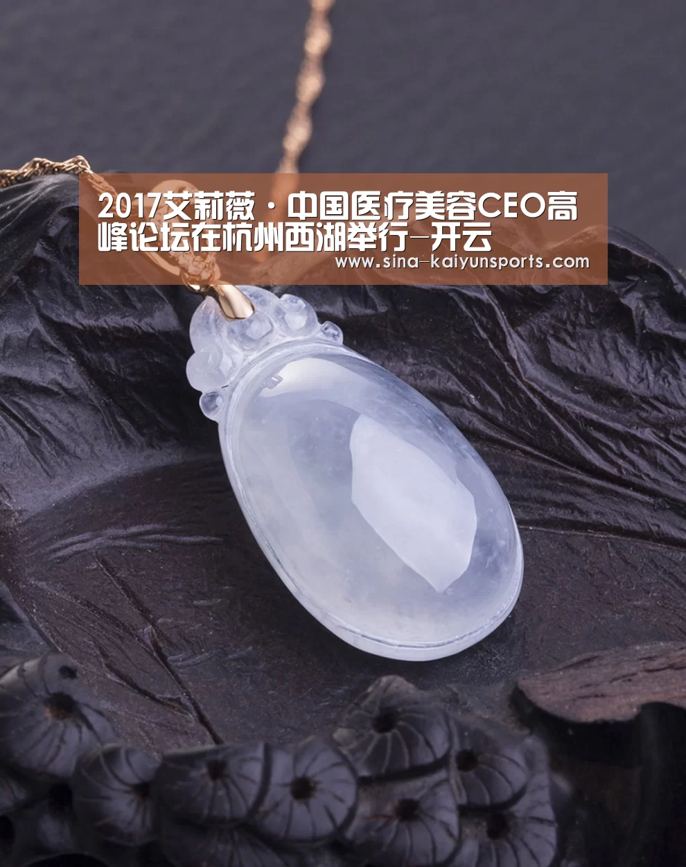 2017艾莉薇·中国医疗美容CEO高峰论坛在杭州西湖举行-开云(图1) 开云App下载