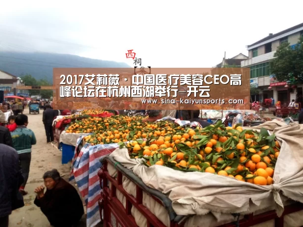 2017艾莉薇·中国医疗美容CEO高峰论坛在杭州西湖举行-开云(图2) 开云