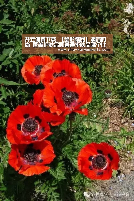 开云体育下载_【整形精品】潮流时尚 医美护肤品和普通护肤品哪个比较好(图1) 开云体育下载