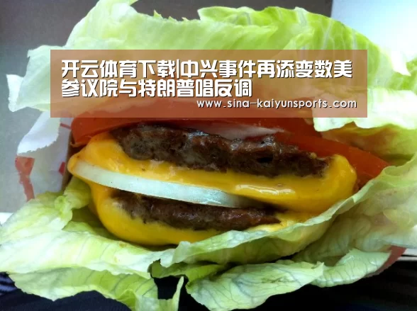 开云体育下载|中兴事件再添变数美参议院与特朗普唱反调(图3) 开云